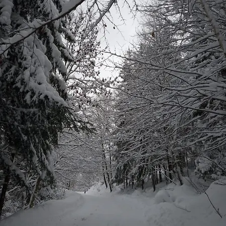 Oblica 农家乐 扎沃亚